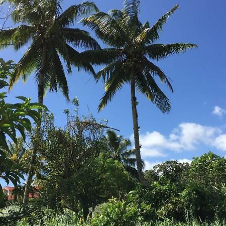 Logement en pleine verdure tropicale -10 min plage Le Morne-Rouge Extérieur photo