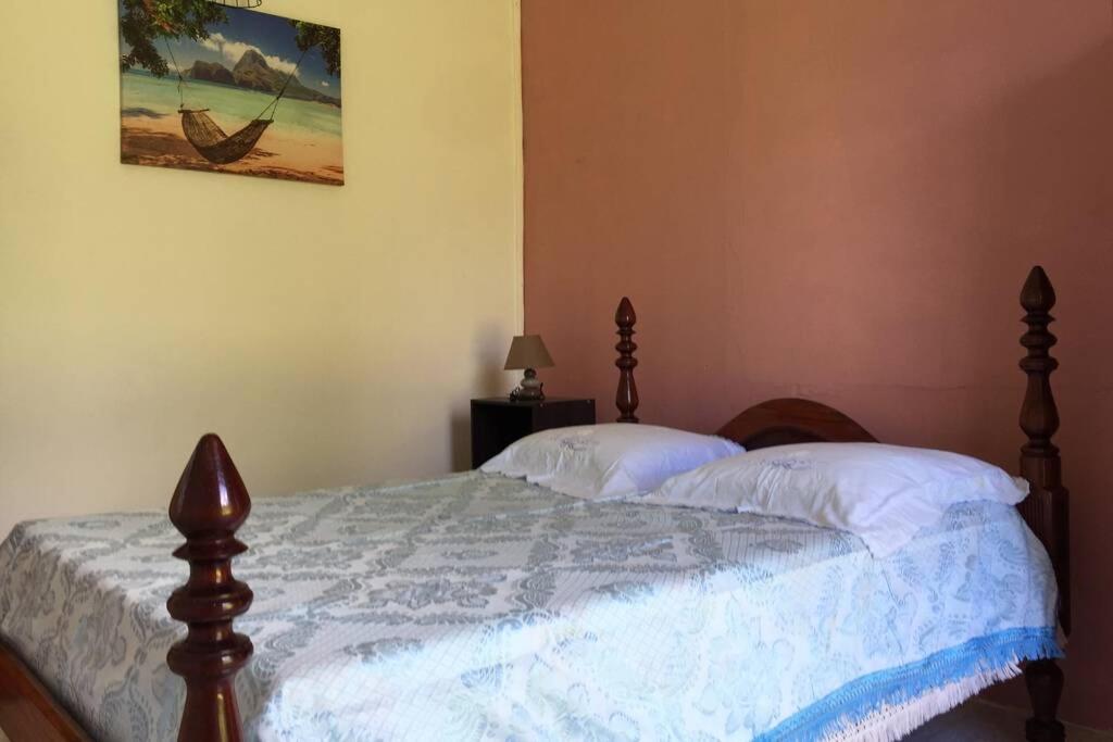 Logement en pleine verdure tropicale -10 min plage Le Morne-Rouge Extérieur photo